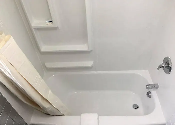 Motel Soy